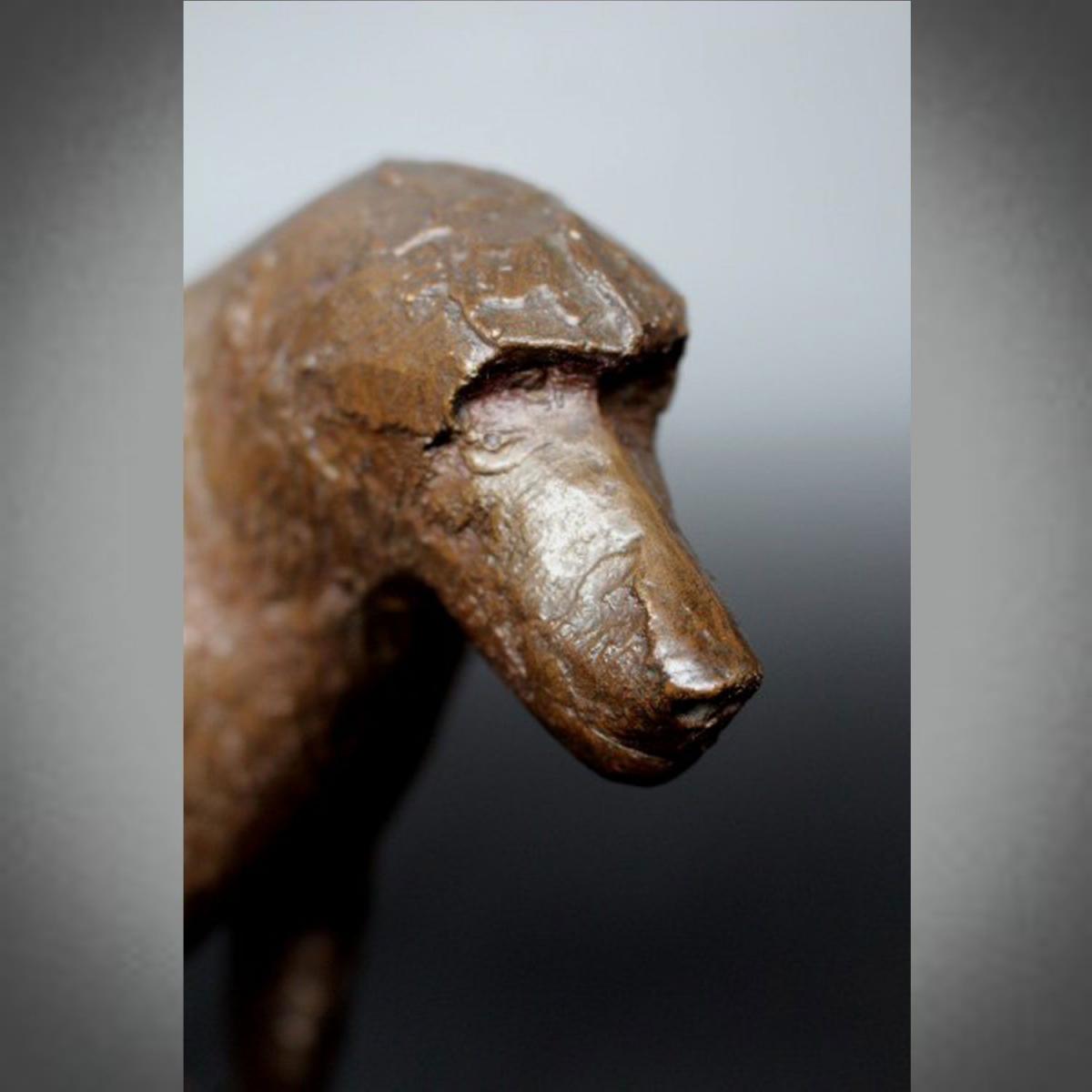 Baboon
