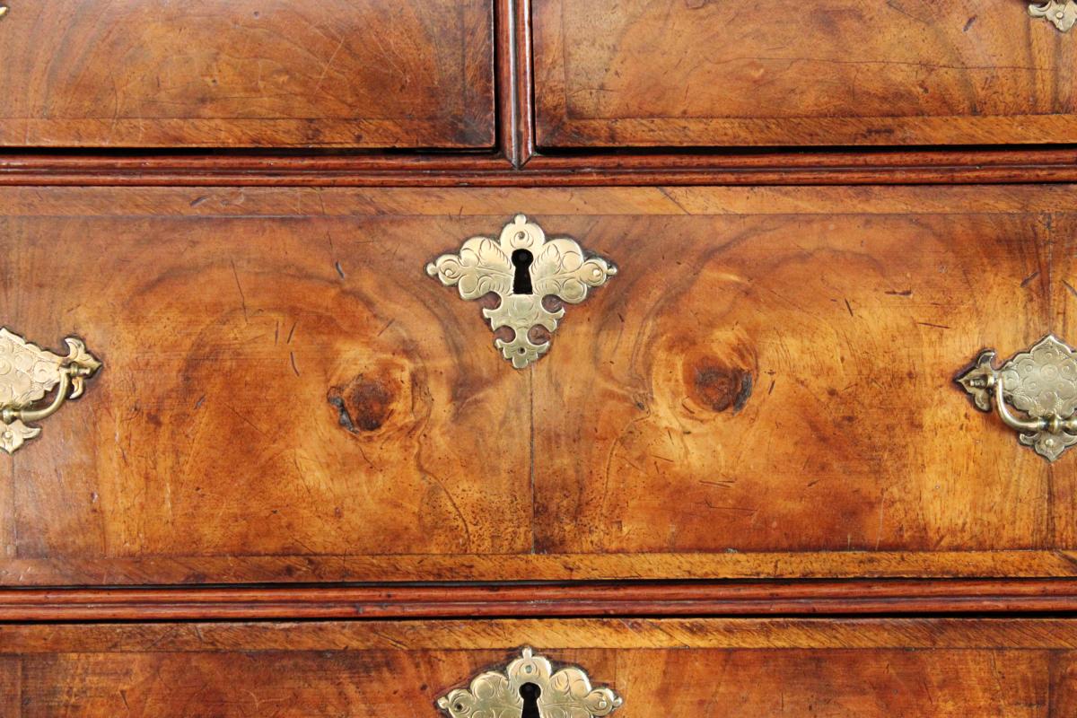 Escutcheon