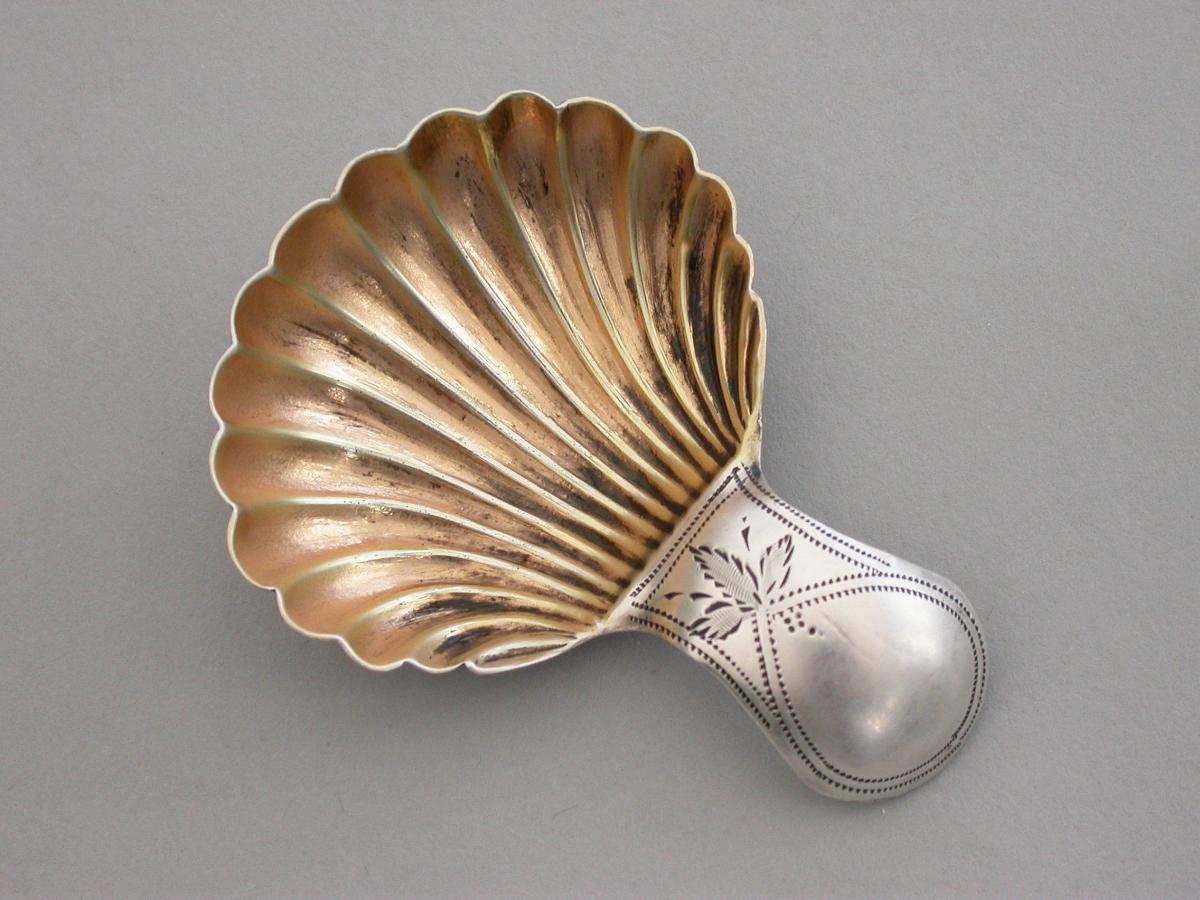 Small George III Silver 'Scallop Shell' Caddy Spoon