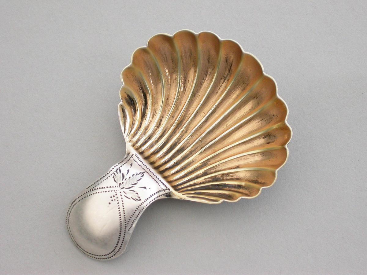Small George III Silver 'Scallop Shell' Caddy Spoon