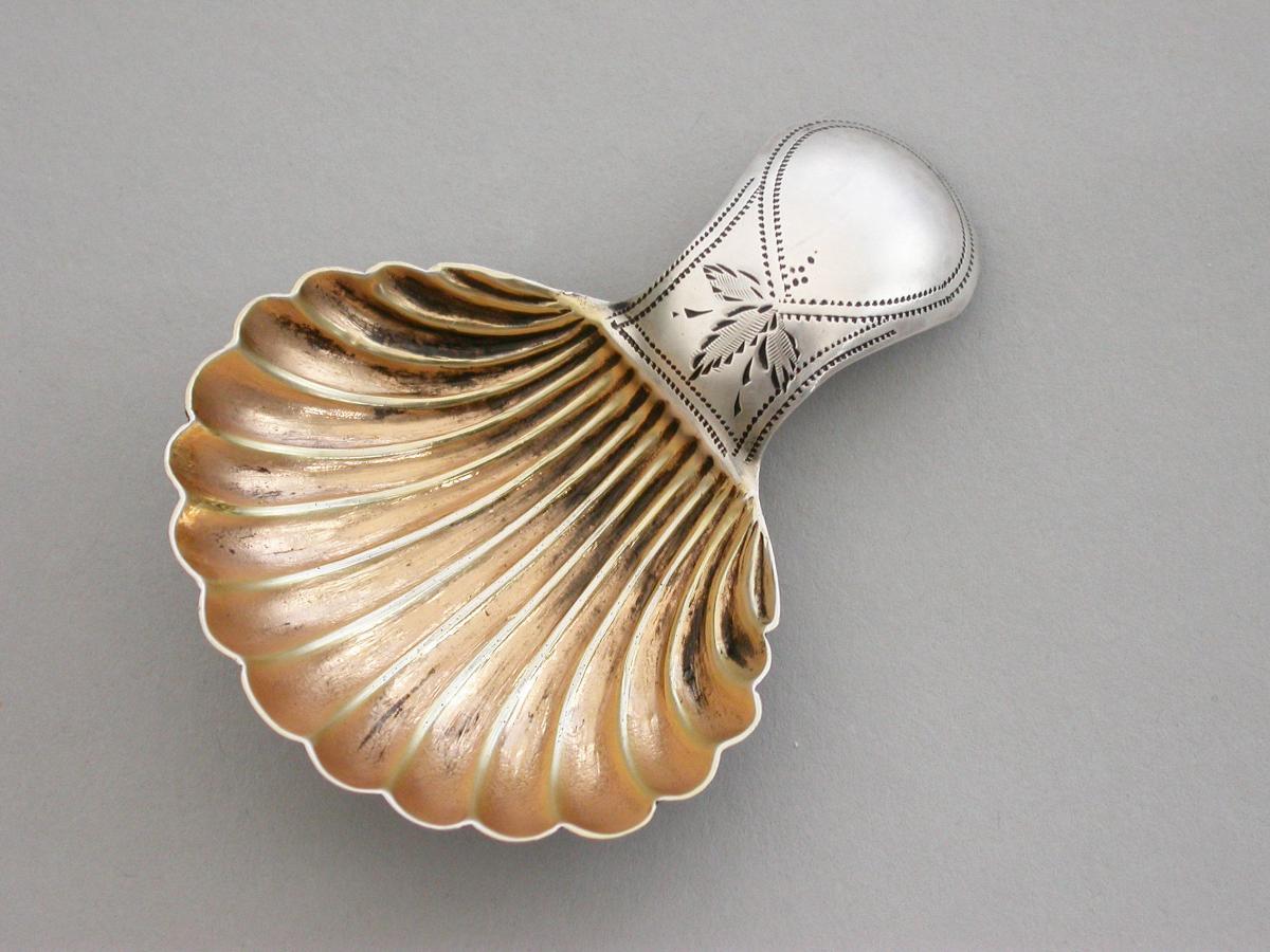Small George III Silver 'Scallop Shell' Caddy Spoon
