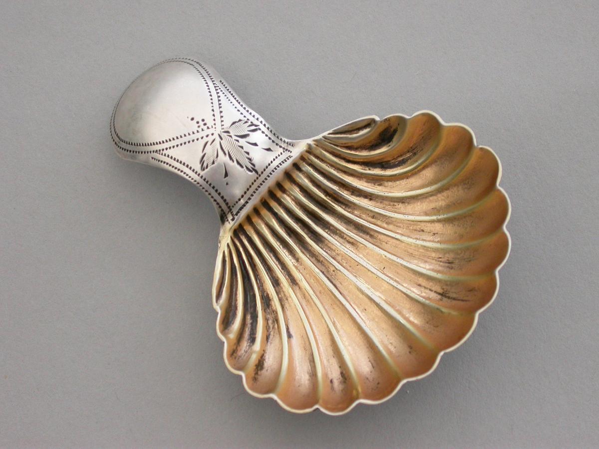Small George III Silver 'Scallop Shell' Caddy Spoon