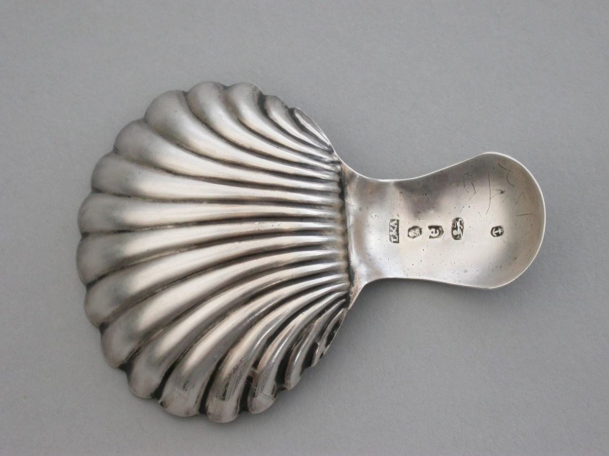 Small George III Silver 'Scallop Shell' Caddy Spoon