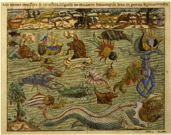 Large, museum-quality, late-16th century, cedar, Venetian, cassone on its original stand ; the sea creature ornament probably dr