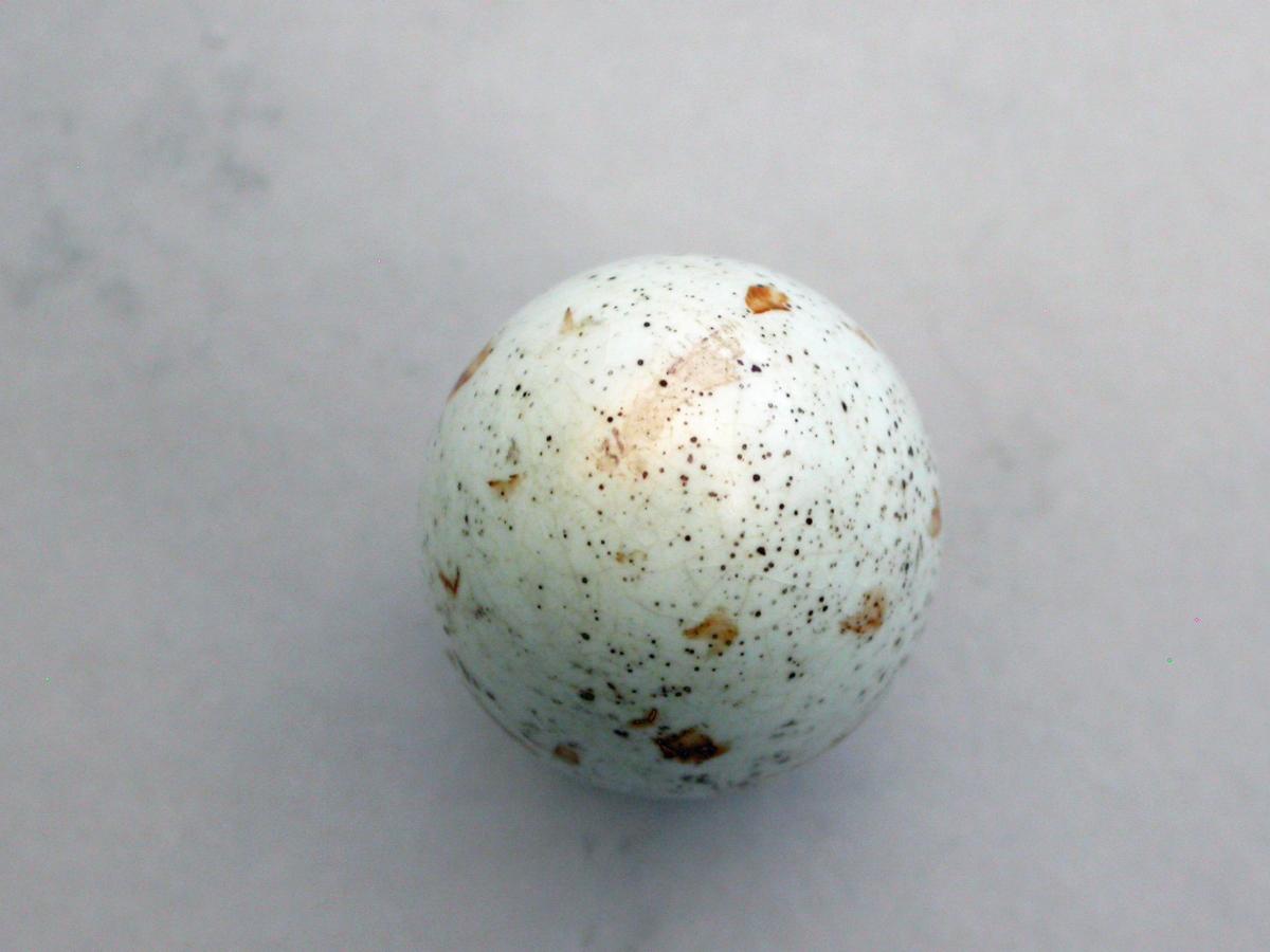 Victorian Silver & MacIntyre Ceramic Marsh Warblers Egg Scent Bottle