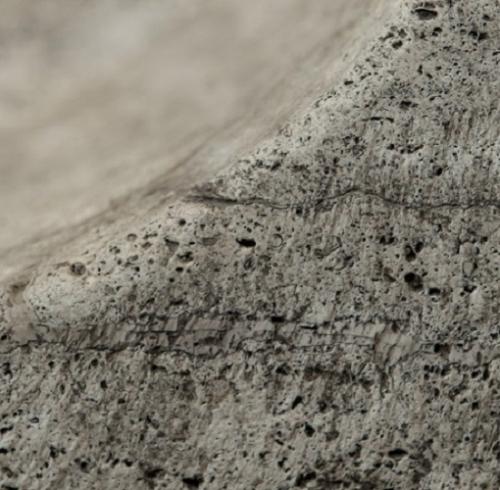 Detail of a carved stone bench from a Roman villa